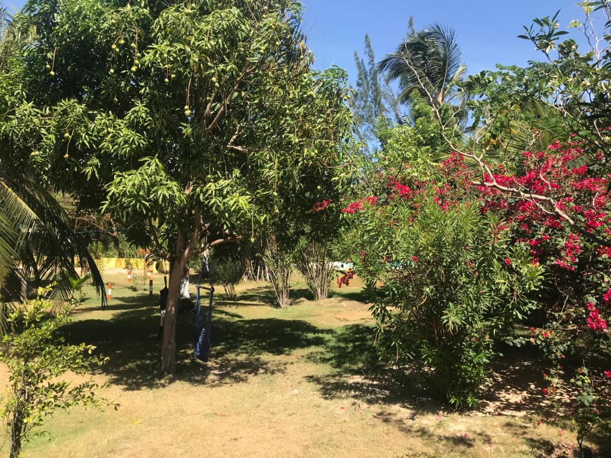 Pousada Malea 伊卡莱 外观 照片
