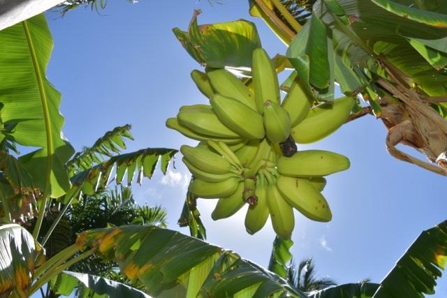 Pousada Malea 伊卡莱 外观 照片
